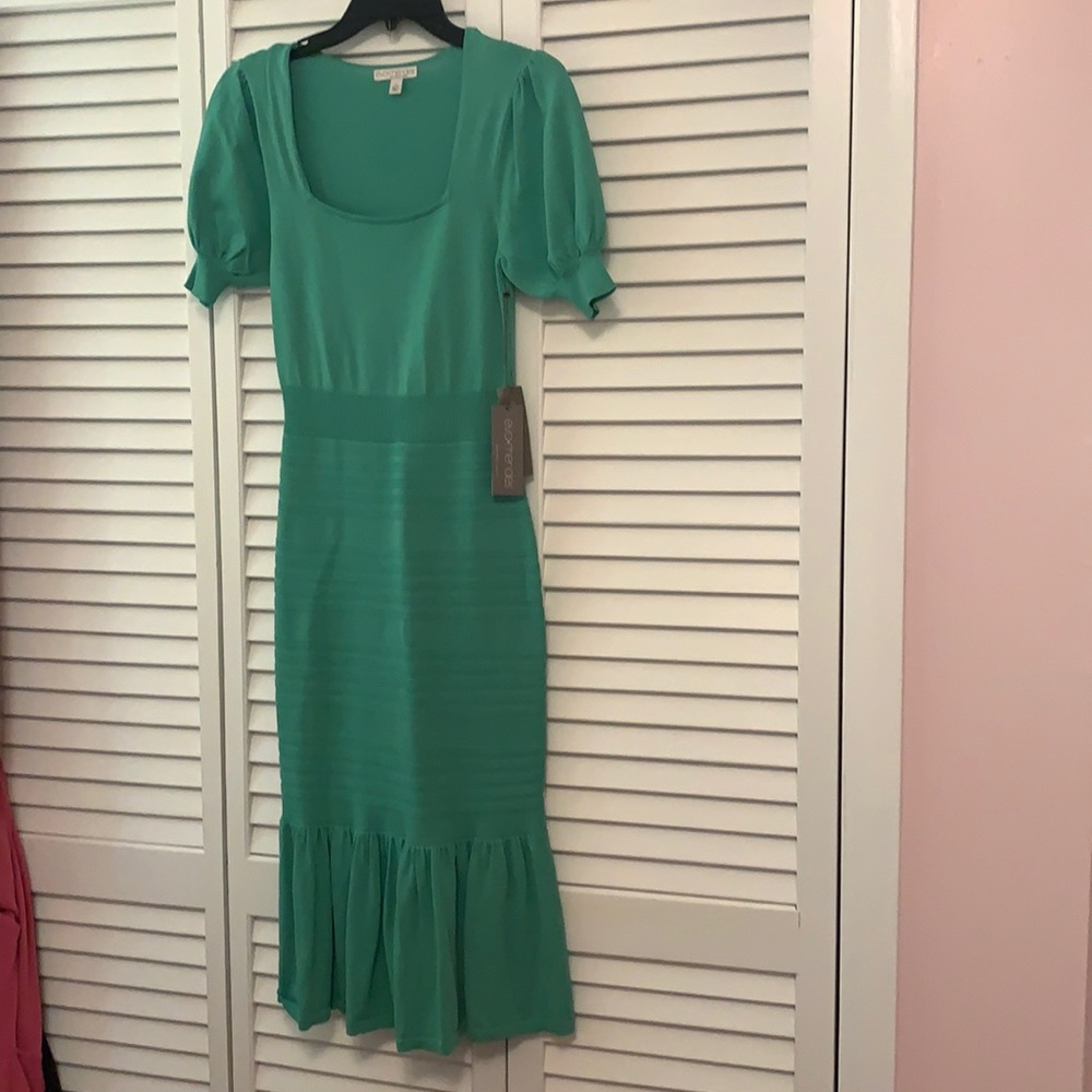 Beautiful dress from New York and company
